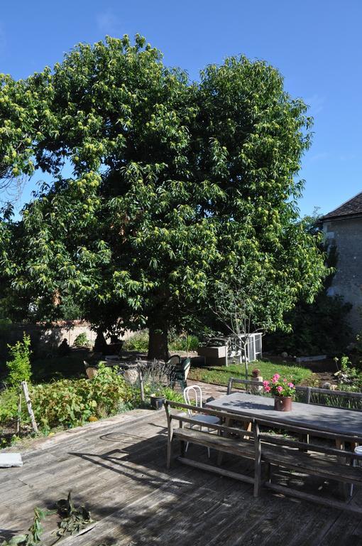 Le Cep En Sancerrois Bed and Breakfast Sancerre Buitenkant foto